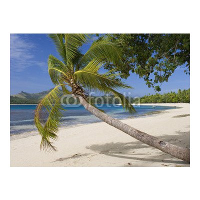 WEBLUX 65416367 Fototapeta vliesová Tropical Paradise Tropický ráj rozměry 270 x 200 cm – Hledejceny.cz