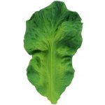 Oli&Carol Hračka Kendall The Kale – Zbozi.Blesk.cz