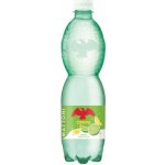 Mattoni Cedrata perlivá s příchutí citrusů 0,5 l – Hledejceny.cz
