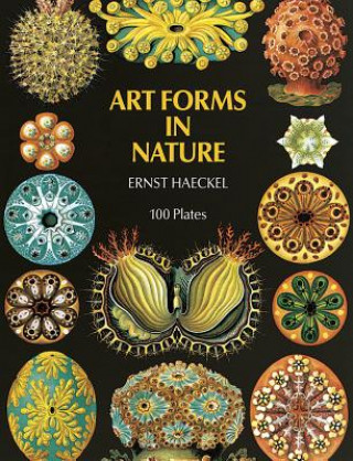 Art Forms in Nature E. Haeckel