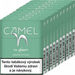 Camel Green karton – Zboží Dáma