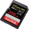 Paměťová karta SanDisk SDXC UHS-II 256 GB SDSDXDK-256G-GN4IN