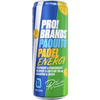 ProBrands BCAA Drink 24x330ml