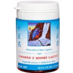 TCM Herbs Vodopád z modré laguny 100 tablet – Hledejceny.cz
