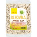 Wolfberry Slzovka obecná 250 g – Zboží Dáma
