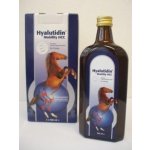 Hyalutidin Mobility HCC 2 x 500 ml – HobbyKompas.cz