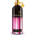 Montale Starry Nights parfémovaná voda unisex 100 ml – Hledejceny.cz