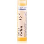 ARNICA MONTANA POR 15CH GRA 4G – Hledejceny.cz