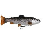 Savage Gear Pstruh 4D Line Thru Pulsetail Trout SS Chub Trout 16 cm 51 g – Zboží Dáma