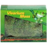Lucky Reptile Vivarium Moss 150 g – Zbozi.Blesk.cz