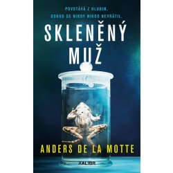 Skleněný muž - Anders de la Motte