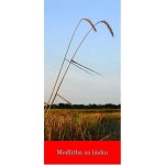 Modlitba za lásku (Z 134) – Hledejceny.cz