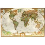 Obří svět National Geographic Executive - nástěnná mapa 185 x 122 cm, laminovaná s očky – Zboží Dáma