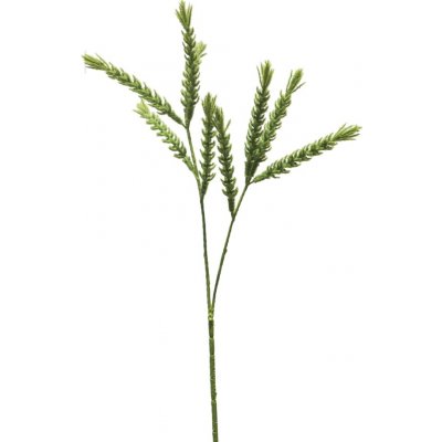 Pšenice (spray) 'flocked' zelená 70 cm – Zboží Mobilmania