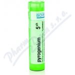 PYROGENIUM POR 5CH GRA 4G – Hledejceny.cz