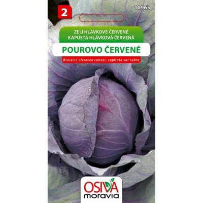 Semínka Zelí hlávkové Pourovo červené (Brassica oleracea convar. capitata var ru – Zboží Mobilmania
