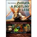 Zvířata a rostliny v lese