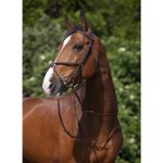 Riding World Uzdečka s mexickým nánosníkem havana – Zboží Dáma