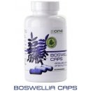 Aone Nutrition Boswellia Caps 90 kapslí
