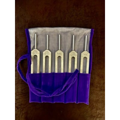 Biosonics USA Mozkové vlny Biosonic – Zboží Mobilmania