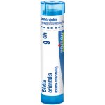 BLATTA ORIENTALIS POR 9CH GRA 1X4G – Hledejceny.cz