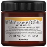 Davines Naturaltech Nourishing Vegetarian Miracle vyživující maska pro silné nebo hrubé vlasy 250 ml – Zboží Dáma