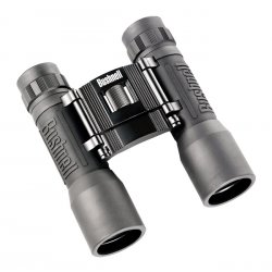 Bushnell 12x32 Powerview