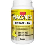Magnex Citrate 375mg+B6 100 chew tablet – Hledejceny.cz