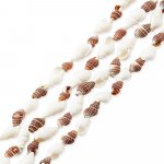 Přírodní mořské mini mušle - bílé a hnědé - cca 6 ~ 10 mm x 10~18 mm - 1 ks Barva: Bílá – Hledejceny.cz