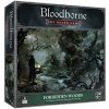 Desková hra Desková hra Bloodborne Forbidden Woods rozšíření EN