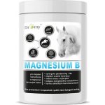 DROMY Magnesium B 1 kg – Zboží Dáma