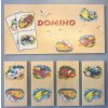 Desková hra Domino Dřevěné domino Dopravní prostředky