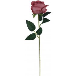 Růže růžová X5791-07