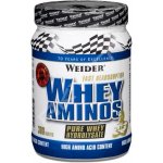 Weider Whey Aminos 300 tablet – Zboží Dáma