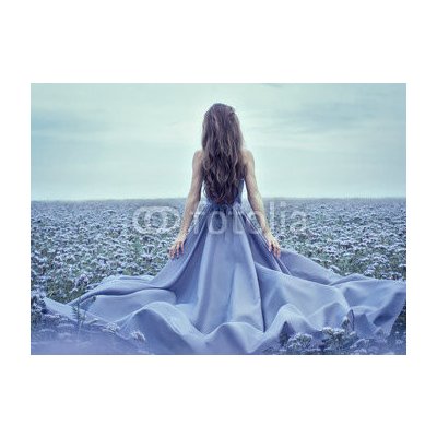 Weblux 70223866 Fototapeta papír Back view of standing young woman in blue dress Zadní pohled na stojící mladá žena v modrých šatech rozměry 254 x 184 cm