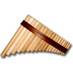 Gibonus Student Pan Flute FP 18 – Zboží Dáma