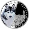 Česká mincovna Stříbrná mince Psí plemenaSibiřský husky proof 1 oz