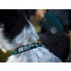 Obojek pro psa Non-stop Dogwear Obojek Trail quest collar Rachel Pohl