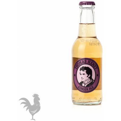Thomas Henry Ginger Ale 200 ml – Zboží Dáma
