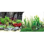 Macenauer fototapeta 11S 60 x 30 cm – Zboží Dáma