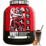 Bad Ass WHEY 2000 g – Zboží Dáma