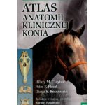 Atlas anatomii klinicznej konia – Hledejceny.cz