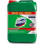 Domestos Pine Fresh čistič a dezinfekce 5 l – HobbyKompas.cz
