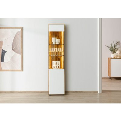Bighome Vienna 45x38x200 divoký dub / přírodní olejovaný / bílé sklo – Hledejceny.cz