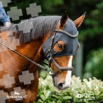 Horseware Maska na hlavu Ionic Calming černá – Sleviste.cz