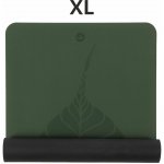 Bodhi Phoenix – Sleviste.cz