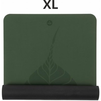 Bodhi Phoenix – Sleviste.cz