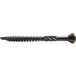 Vruty RAPI-TEC FASAD 5x60mm TX25 kalený nerez – Hledejceny.cz