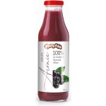Ovocňák Mošt JABLKO ARÓNIE 750 ml – Zboží Dáma