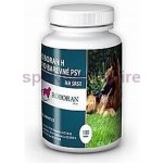 Univit Roboran H pro barevné psy 100 tbl – Zboží Dáma